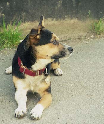 Rusty